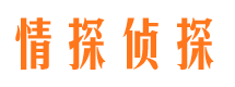 江源市婚外情调查